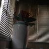sheri0404